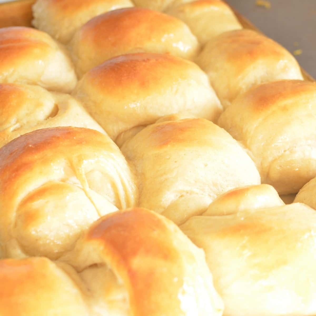 Homemade Rolls - Super Healthy Kids